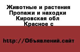 Животные и растения Пропажи и находки. Кировская обл.,Красное с.